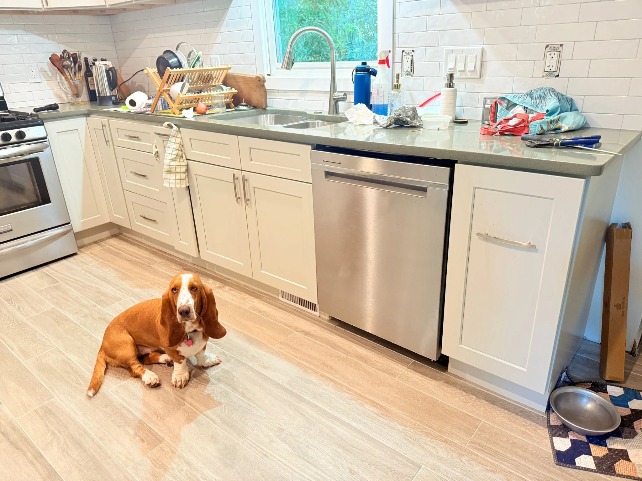 Kitchen Project 106