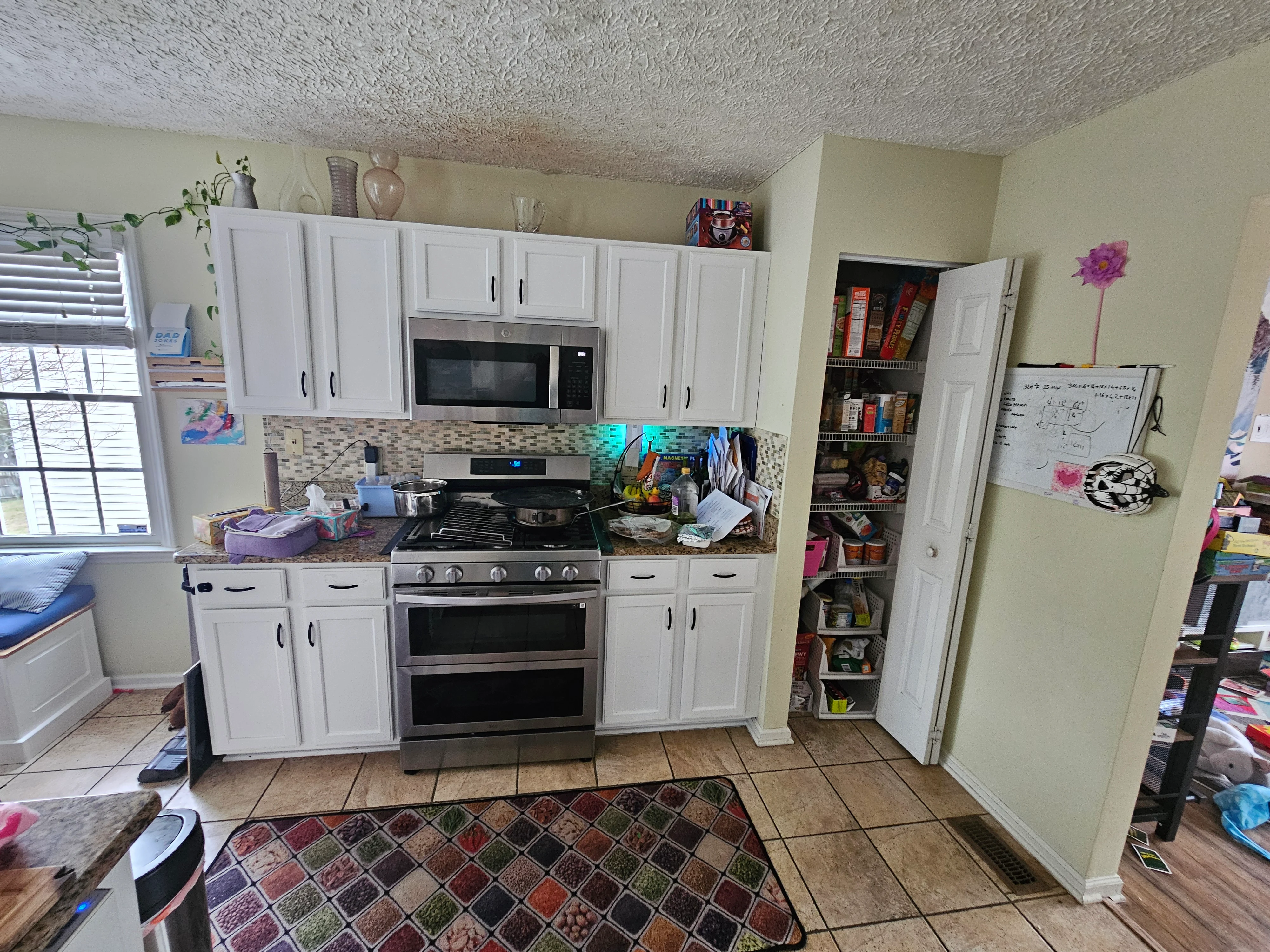 Kitchen Project 107